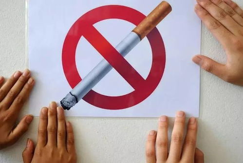 深度解析黄鹤楼三峡探索独特烟草文化与创新工艺的融合 - 3 - 安好香烟网